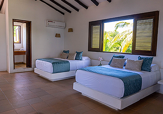 Habitación Deluxe 1